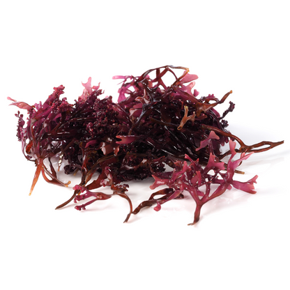 Sea Moss Complete + 60 Day Supply