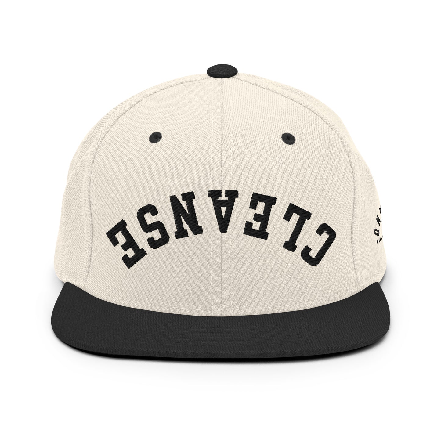 Cleanse Snapback Hat