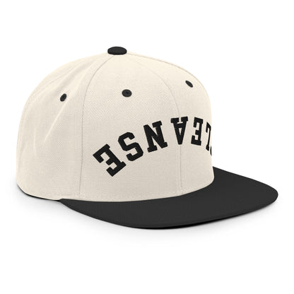 Cleanse Snapback Hat