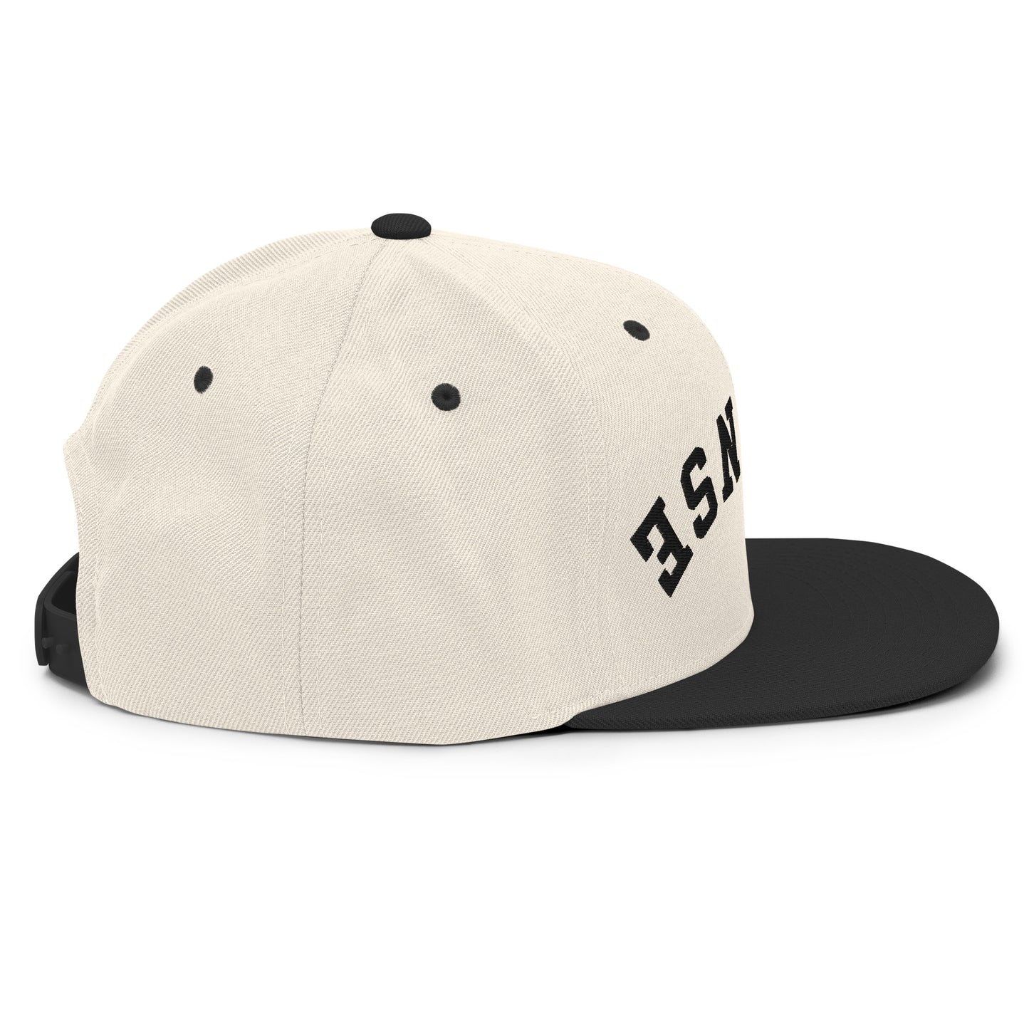 Cleanse Snapback Hat